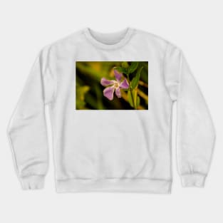 ebs lilac Crewneck Sweatshirt